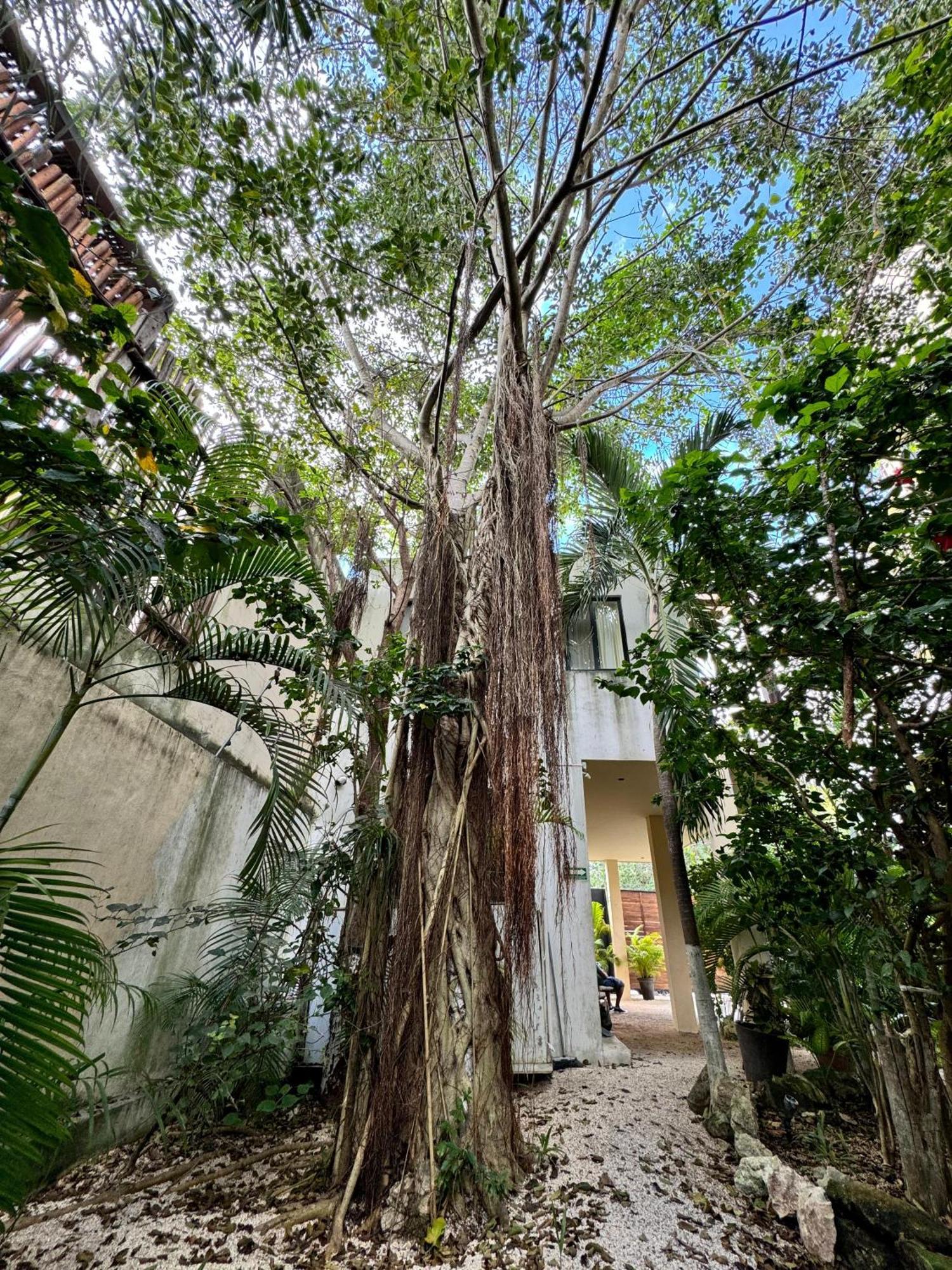 Starfit Hotel Boutique Beachclub, Spa & Gym Included Tulum Kültér fotó